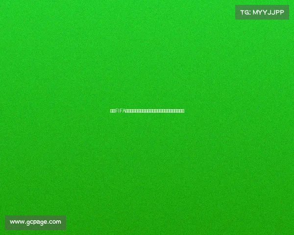 基于FIFA世界杯数据库的赛事数据分析与历史记录整合研究平台